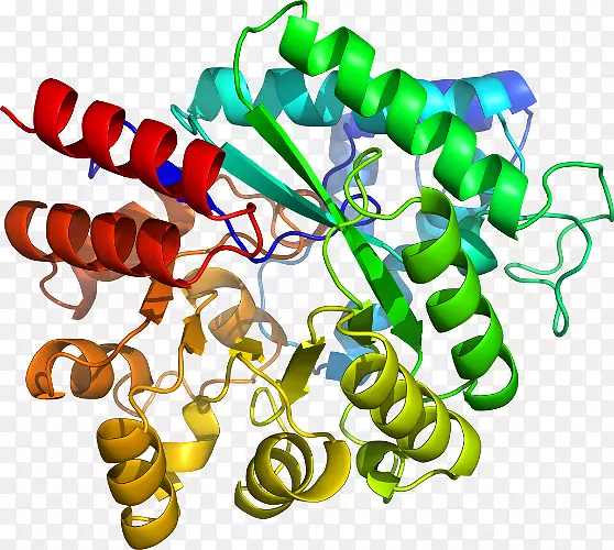 �����鱦�л��������.�鱦-������