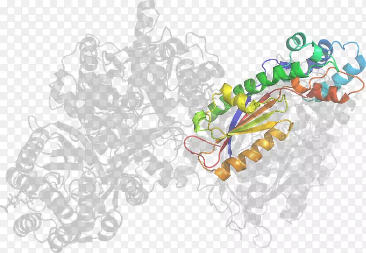 ��������.���-������