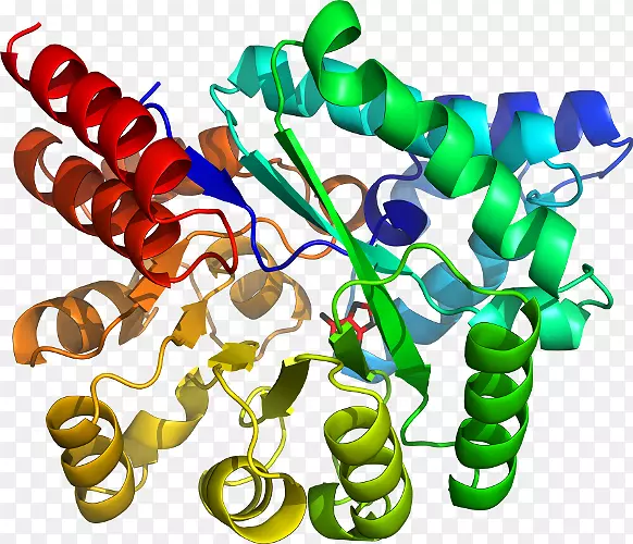 �����鱦�л��������.�鱦-������