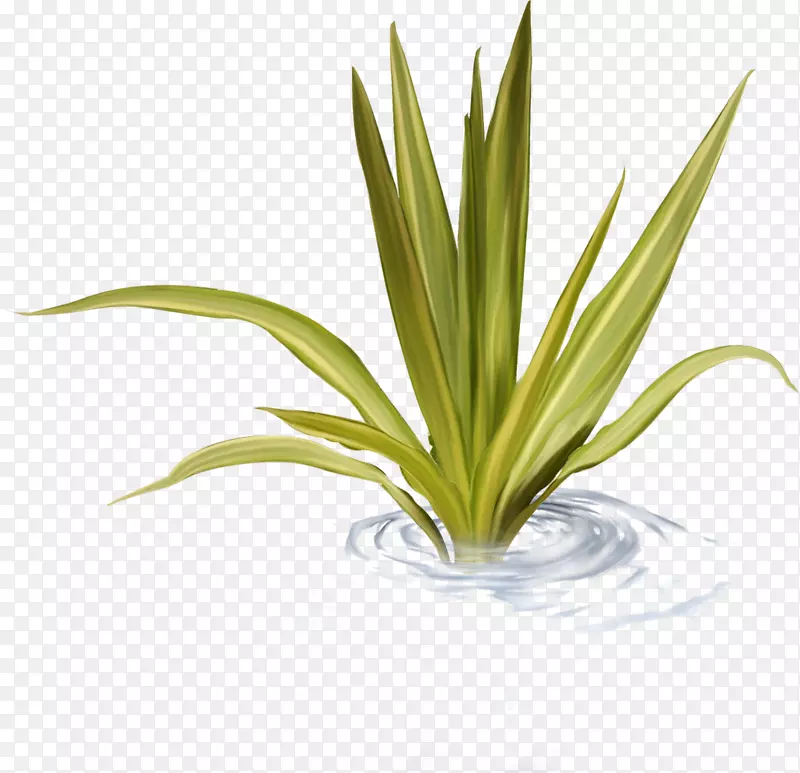 ˮ��-������