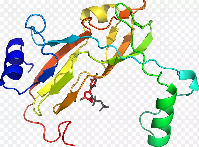 ������Ϊ�л����ߵ��������-������