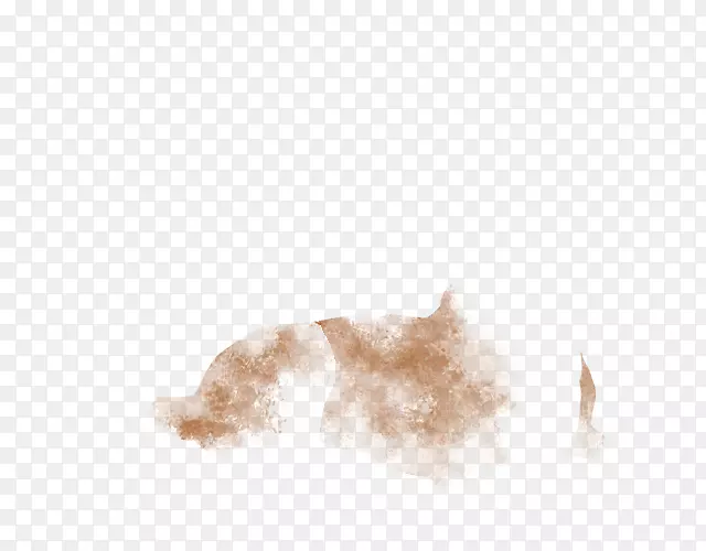 Ȯ�ƹ���ëƤ�����ӣ�-��-������