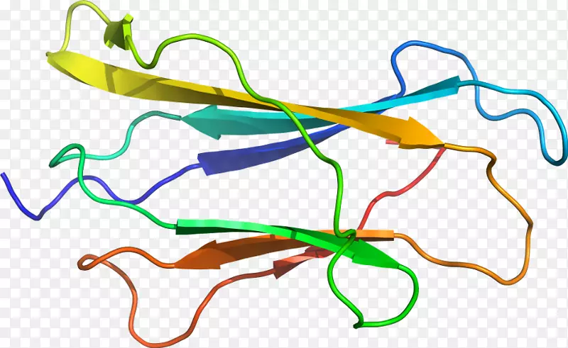 ֱ�ߵ�ֲ�ﾥ��������-������