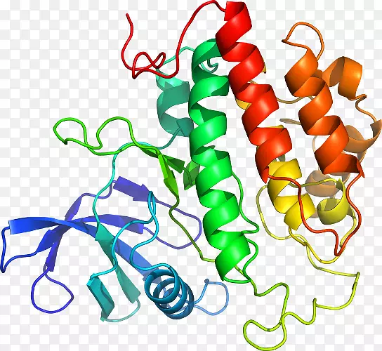 �����߶����������-������