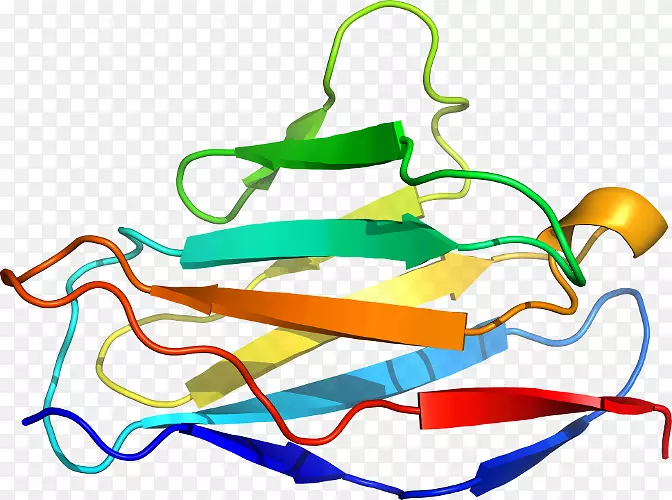 �ߵ������-��-������