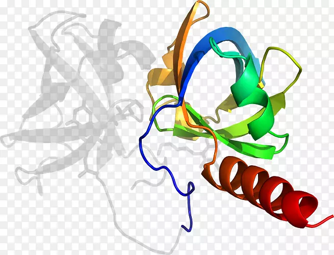 ƽ����Ƽ�����.���-������