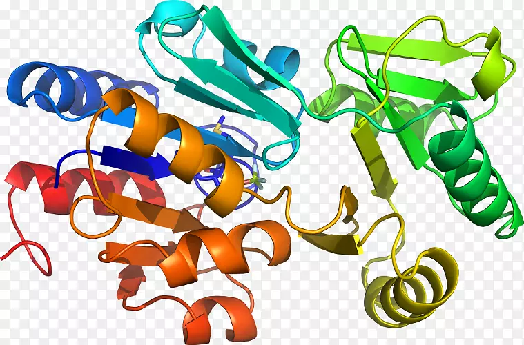 �����߶����������-������