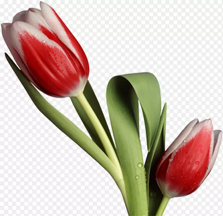 ������-������