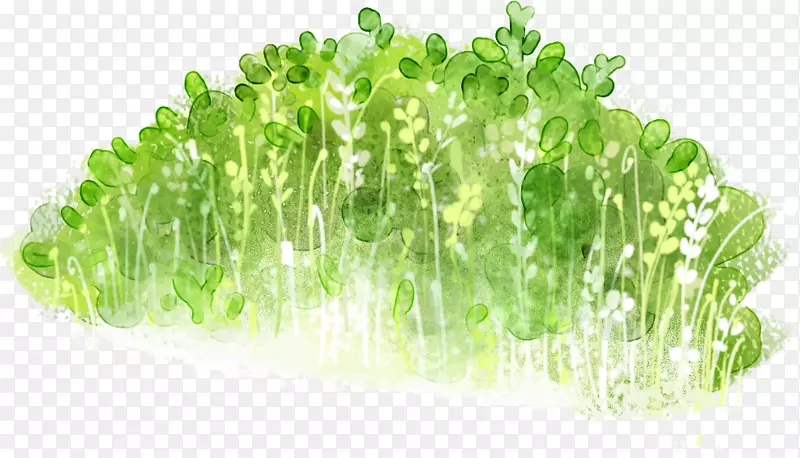 ���̲�-������