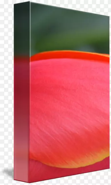 ���γ�������-������