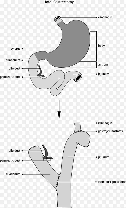 ��ָЬ����.����-������