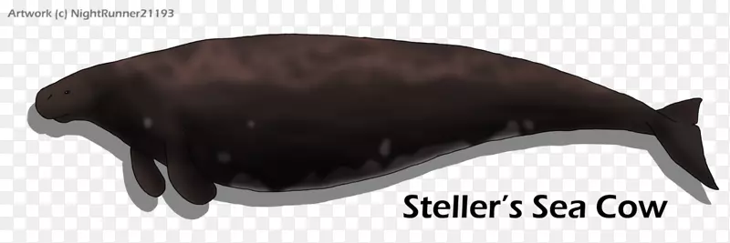 ���ຣ��-������