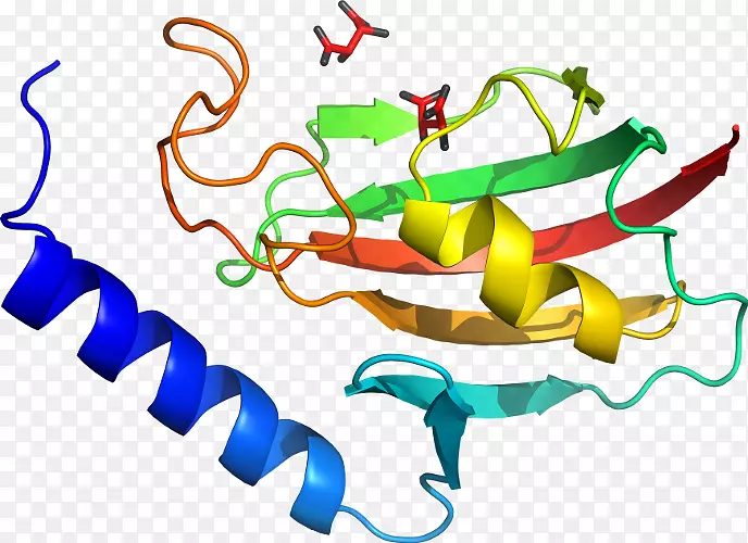 �ߵ������������-������