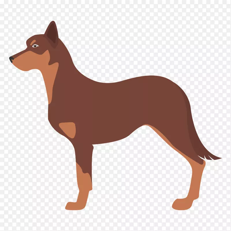 �Ĵ����ǿ���Ƥ����������Ȯ���߼�������Ȯ�����������Ȯ����Ӣ������Ȯ-�Ĵ�����-������