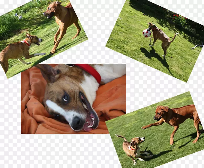 Ȯ�ֱ�Ȯ-������