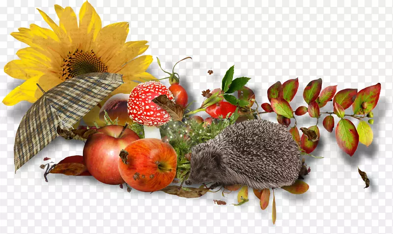 �＾��ͨ����-�＾��ͨ���-������