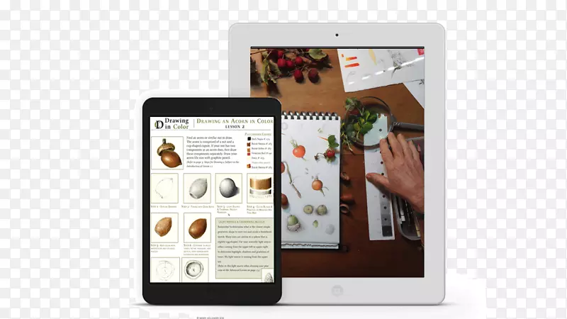 ��ý�巿�ݻ�ͼ-������