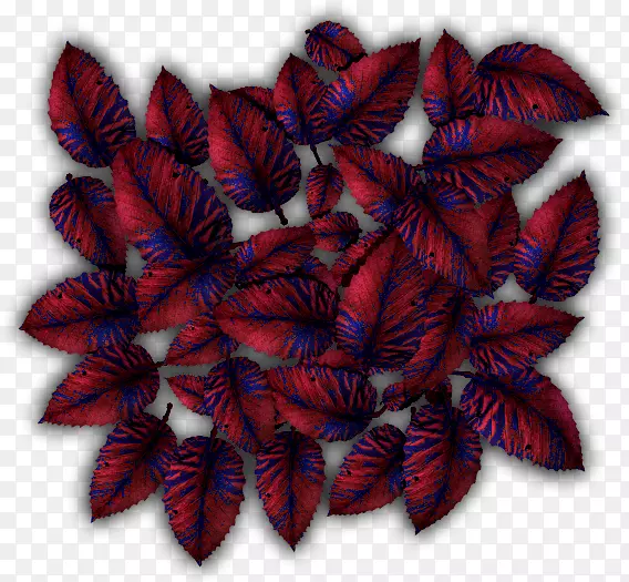 ˮ�ʻ��ȴ�Ҷͼ��.�ȴ�Ҷ-������