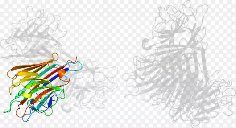 ƽ����ƻ滭���������-������