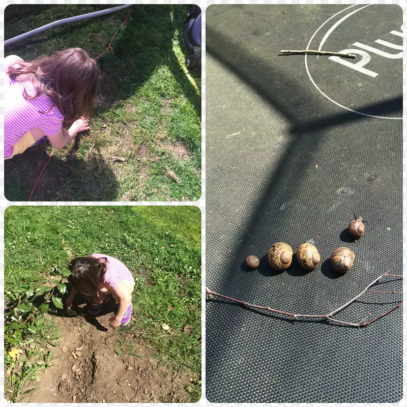 �������������-��԰��ĳ���-������