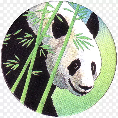 ����è���Ӽ��վƵ�-������