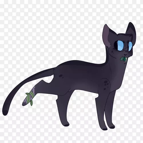 ����è����ʨβ����è-������