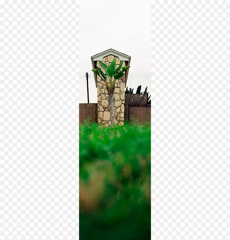 ��ɫ-������