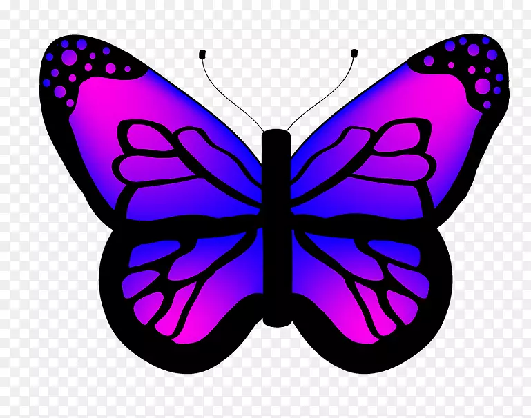 ��������ë�ʺ����ԳƼ���������-������