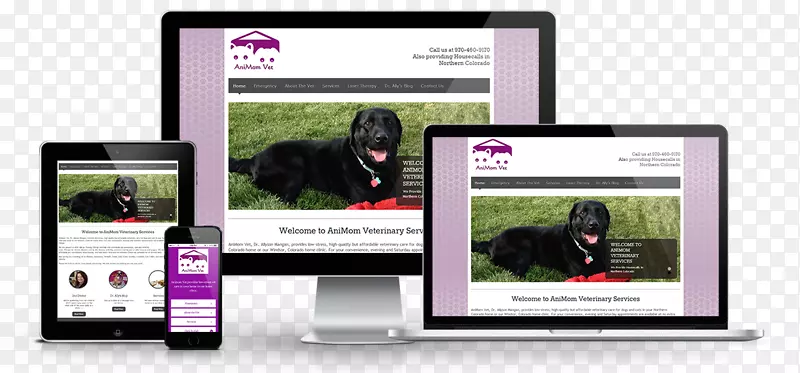 Ʒ��չʾ�����Ӷ�ý��̫ƽ��˽��ʵ������-������