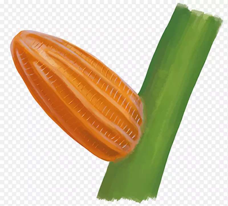 �߲�-�߲�-������