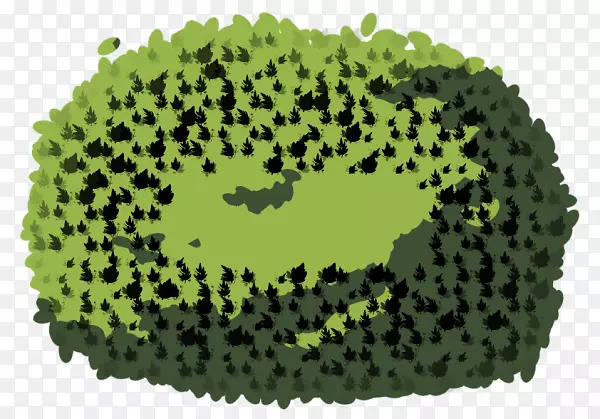 ���ʲʻ涯��-�滭����-������