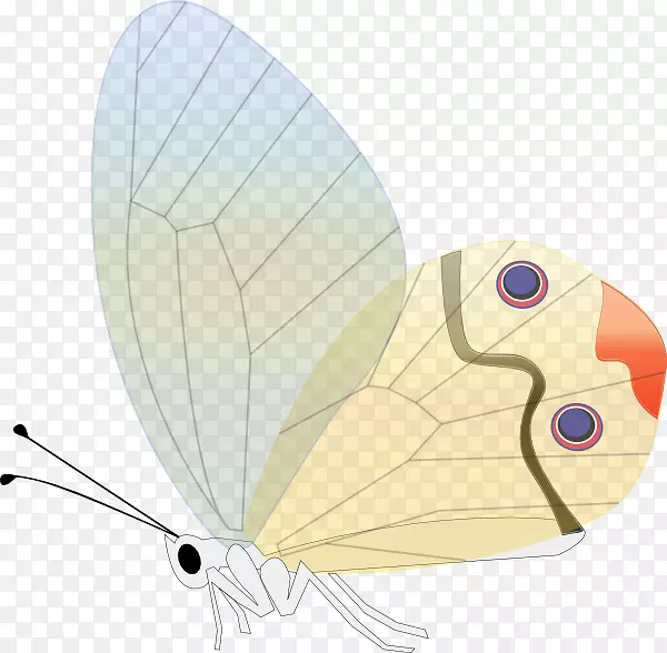 �������������.����-������