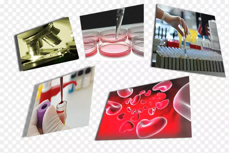 ��ǰ�����ѧ��Ʒ�е�����-��ѧר��ְҵָ������Ʒ��-������