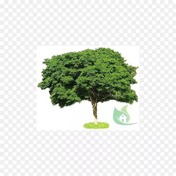 ��ľ�߶�ģ�͹�ľ�Ⱥû�-��-������