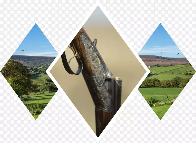 ����Ʒ�ƽ�-������