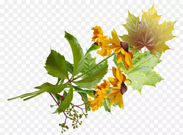 ���յ����ʼ�������-������-������