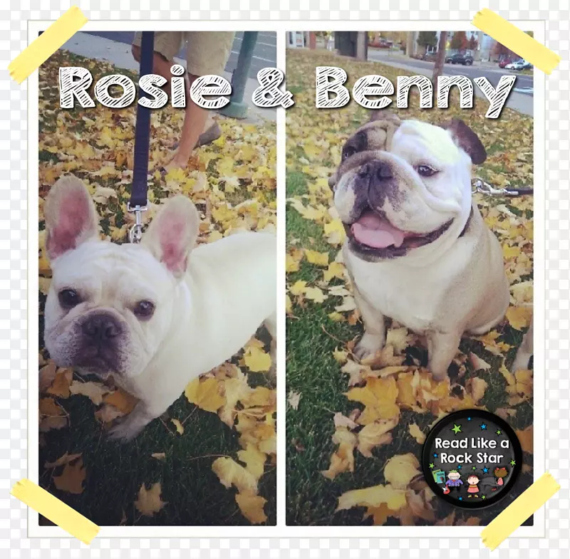 ��߶�ţȮ����ɽ�ȶ�ţȮ�Ĵ����Ƕ�ţȮӢ����ţȮ�����Ķ�-������