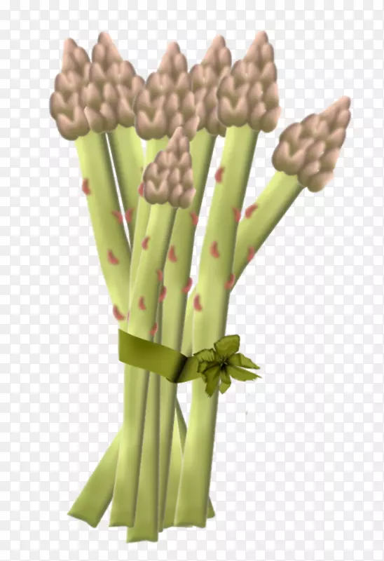 ˮ���߲�«��ÿ��5-�߲�-������