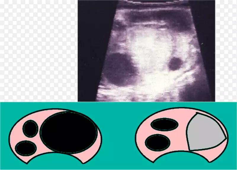 ������-����-������