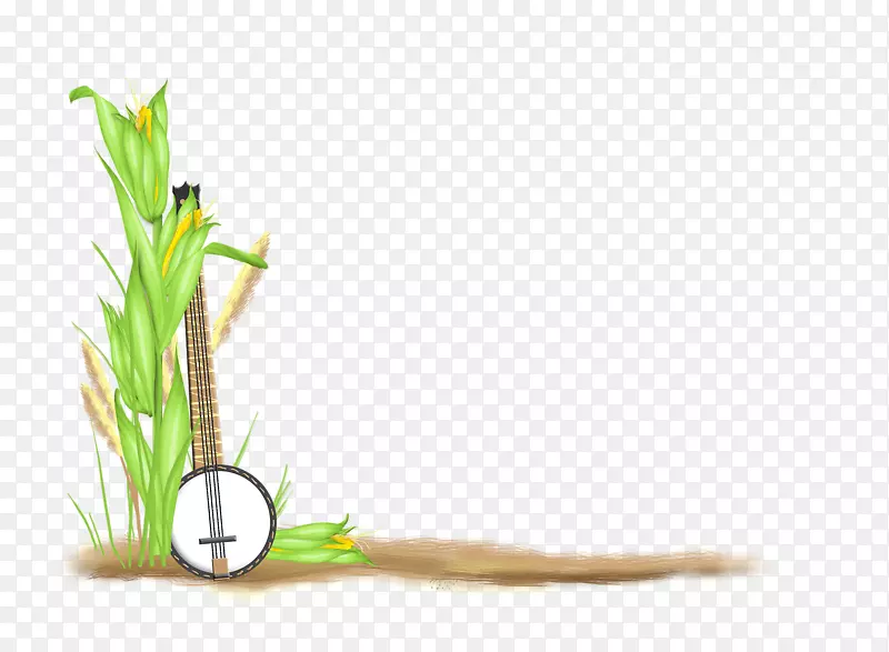 ���ܲ���ֲ�ﾥҳ��-������