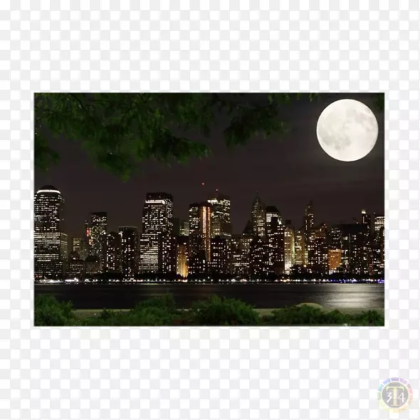 ���ǵ������ܵ�������ѷ��Ƶ-����-������