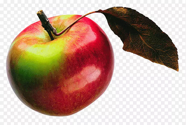 ƻ���Ĺ���-������