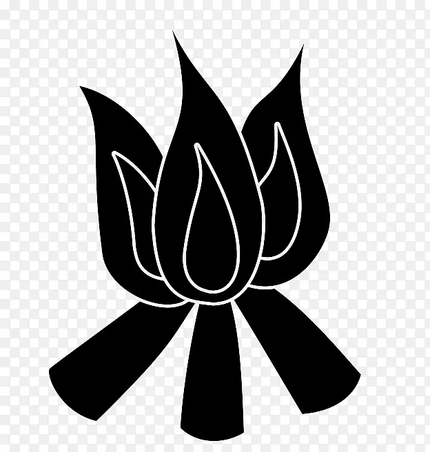 ����ֲ���Ҷ������-��-������