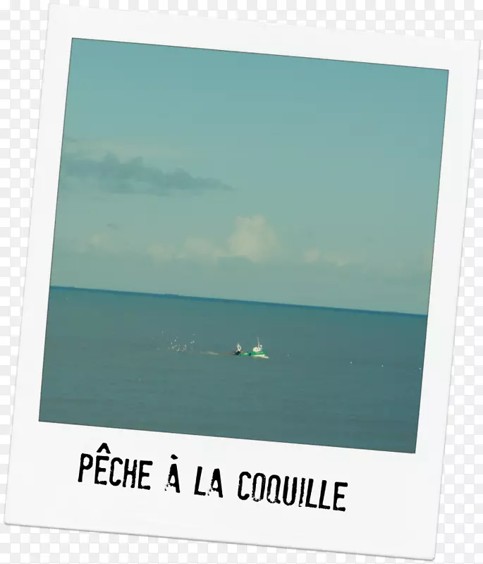 ��������ʯ���-������