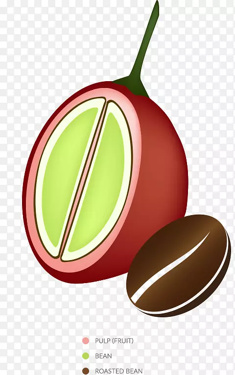 ���ȶ���ʲ������������ӣ�Ҳ迧��ˮ��-������