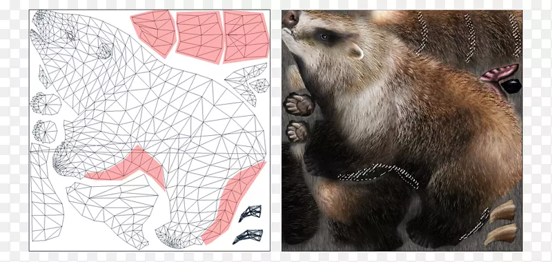 ���Ӷ���ȺҰ���������-����-������