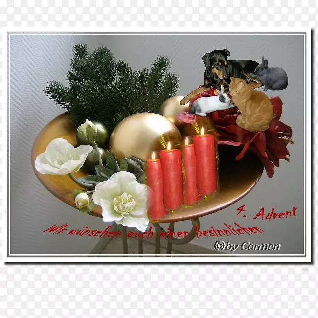 ʥ��װ��Ʒ�߲�ˮ��-�߲�-������