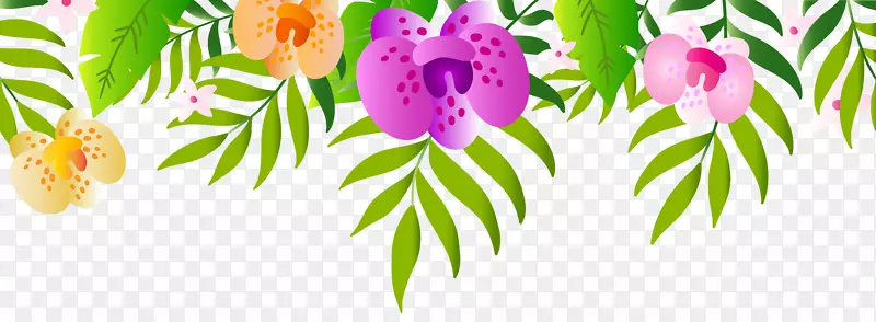 ���ռ�����-���ֳ�����-������