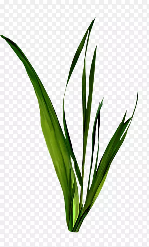 ��������Ӱ���������-������