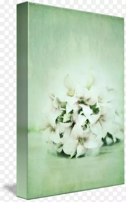 ��������л������̱���-������